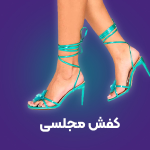 کفش مجلسی